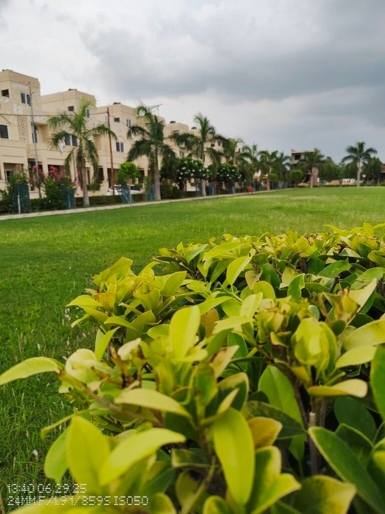 lucknow greens township